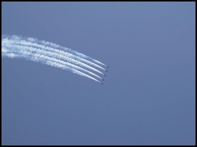 blue angels5