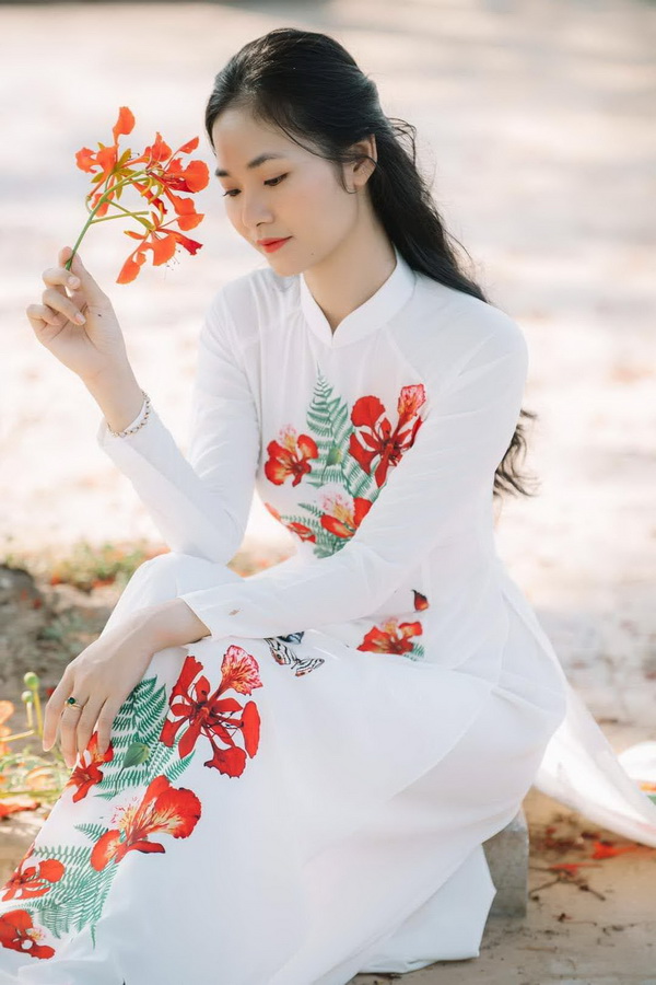 Thiếu nữ ngồi áo dài trắng, hoa phượng