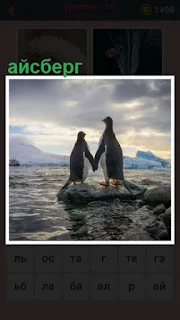  651 слов стоят два пингвина и айсберг в океане 10 уровень