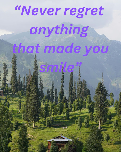 Never Regret Anything That Made You Smile