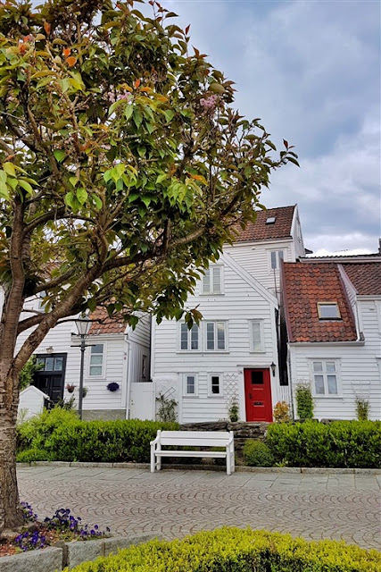 Gamle Stavanger norway with cat old houses