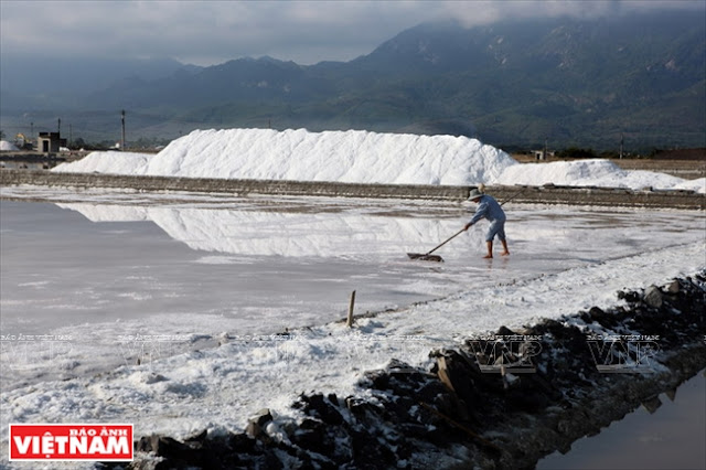  Salt Fields in Hon Khoi