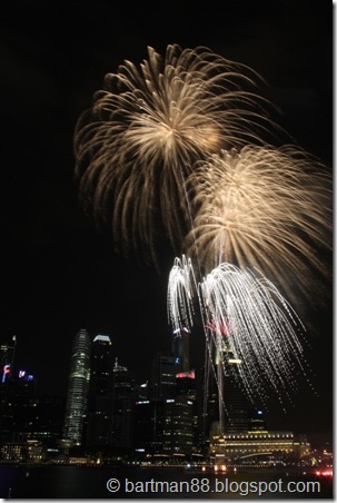 NDP-20110625-10