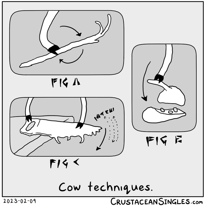 A series of three images show cow arms demonstrating the use of various cow tools, with movement arrows and hoof-based writing resembling cuneiform. Caption in English: "Cow techniques."