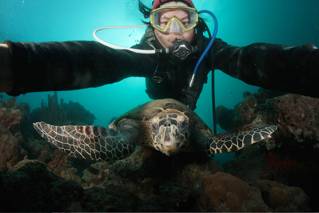 Jun V Lao, Underwater Photography, Scuba Diving, Dive Philippines