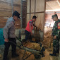 Polres Tapteng Bantu Evakuasi Korban Musibah Longsor di Tapian Nauli 