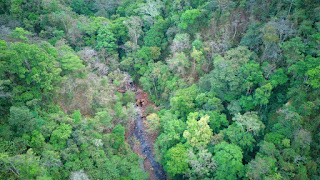 drone photo of a river flowing through green dry forest in Puriscal, Costa Rica