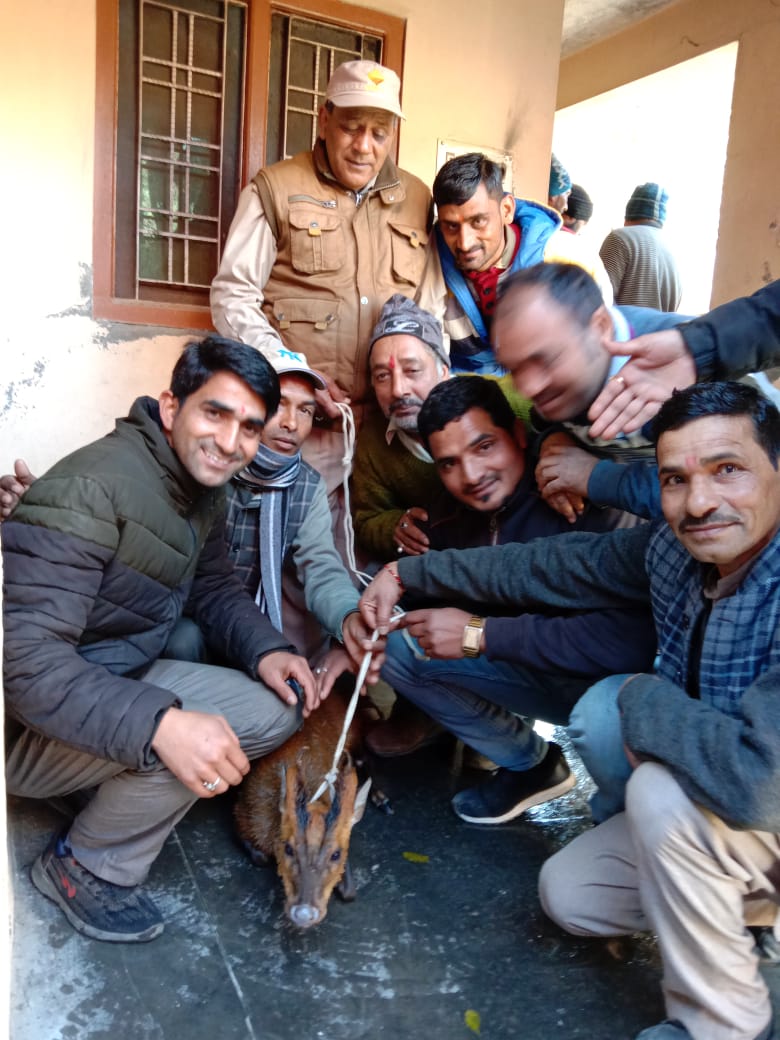 चित्र