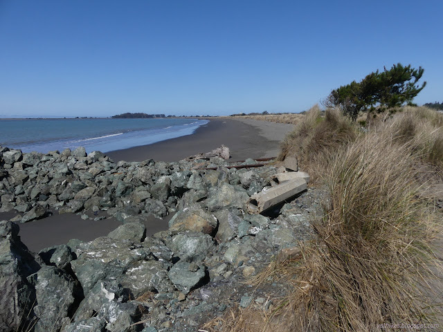 44: beach on the outside of the sand spit