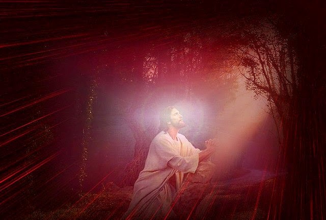 Imagen+de+Jesus+orando+en+el+bosque.jpg (640×431)