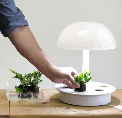 Ambienta Living Table Lamp Is Multi-Function Table Lamp With Indoor Planter And Unique Decorative Lighting