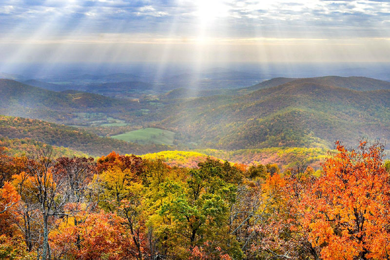 Experience America’s national parks — virtually