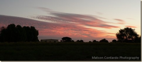 P1120561a (480x210)