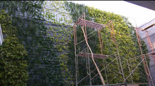 Vertical garden