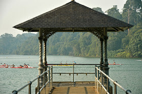 Macritchie Reservoir Park