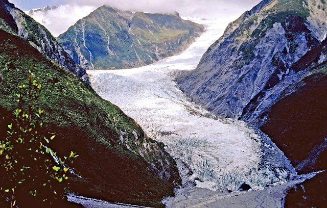 The Fox Glacier in the early 1990s from Cone Rock