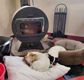 Thelma and Louise are happy by the fire