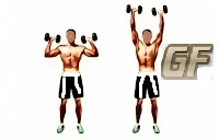 melatih otot bahu shoulder press