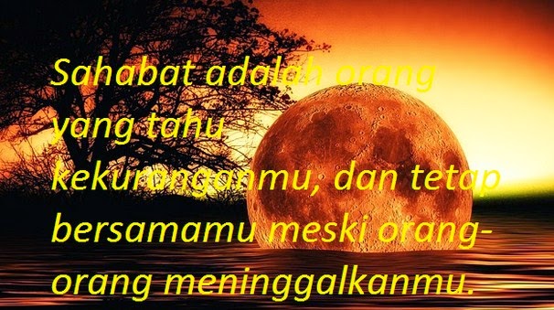 15 Kata Kata Indah untuk Sahabat yang Menyentuh Hati ...