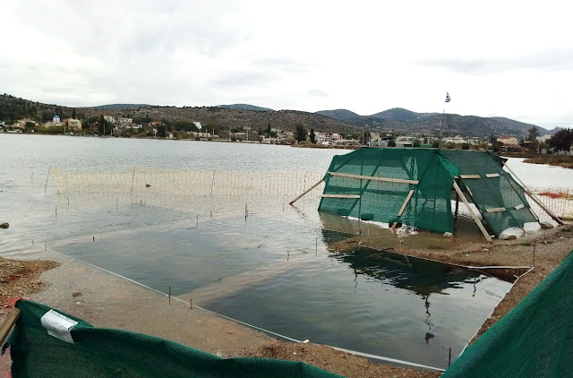 Αποτελέσματα της Υποβρύχιας Έρευνας Σαλαμίνος 2020