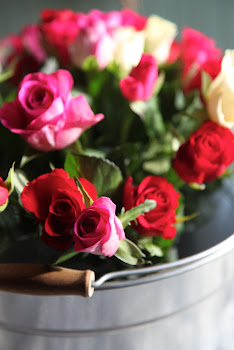 Rosehav