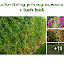 Plants for living privacy screens with a lush look