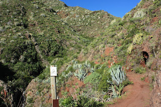 PR-TF-2  VALLESECO (Santa Cruz de Tenerife) A TABORNO, Sendero paralelo al Barranco Seco en dirección a La Fortaleza, sendero con señal de precaución por caídas en el precipicio