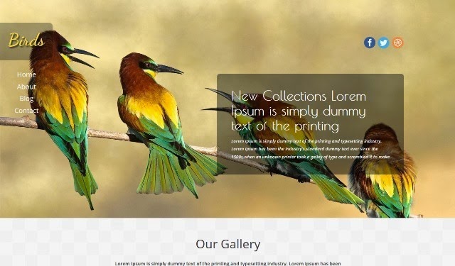 Birds - Free Html5 Template for Pets