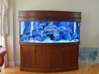 aquarium furniture stands