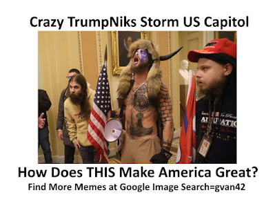 420 - Crazy TrumpNiks Storm US Capitol - How Does THIS Make America Great - find more memes at google image search: gvan42