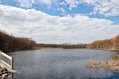 at one of the dams