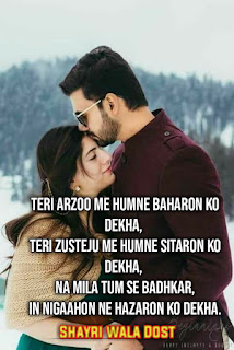 99+ Romantic Couple Shayari In Hindi With Images