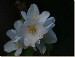 P6234960