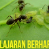 Pelajaran Berharga