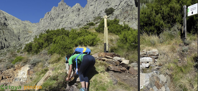 Ruta circular al Gran Galayo, Punta D. Servando y La Mira, desde el Nogal del Barranco en la Sierra de Gredos (Ávila).