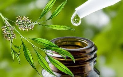 Use Tea Tree Oil For Acne Scars