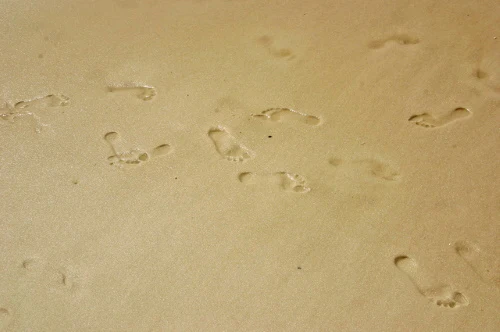 #PraCegoVer: Pegadas na areia da praia.