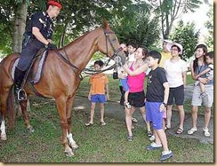 horse
