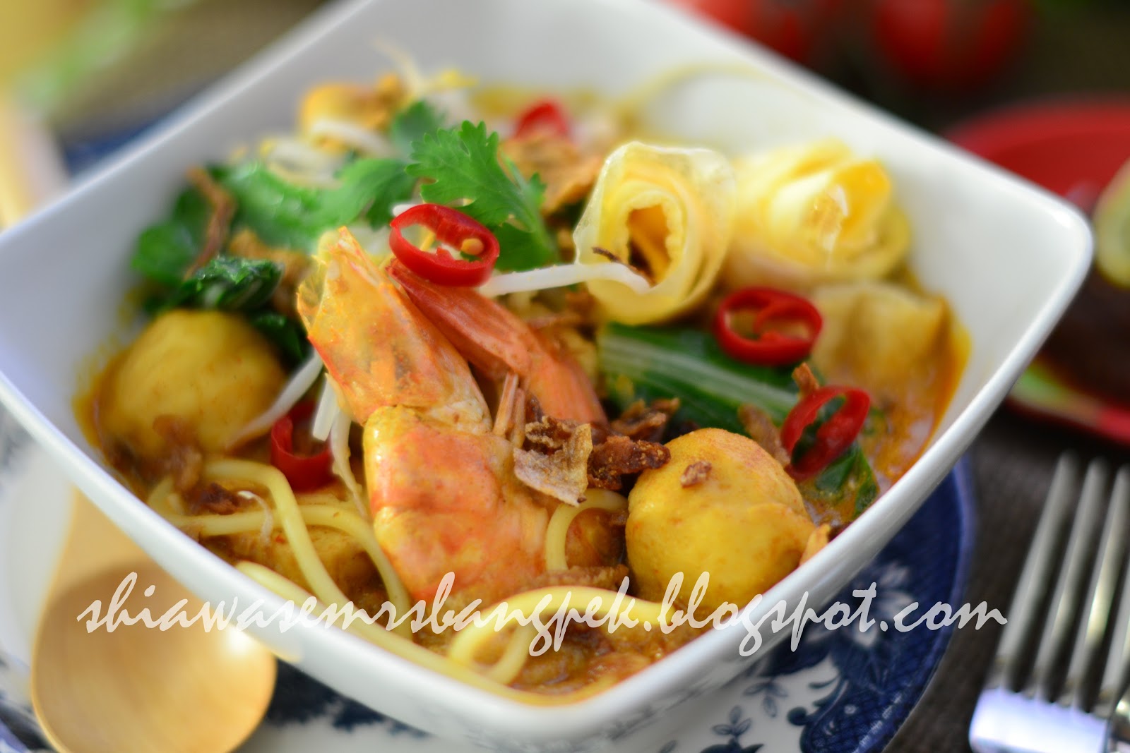 :: ShiawaseMrsBangpek::: Mee Kari Nyonya