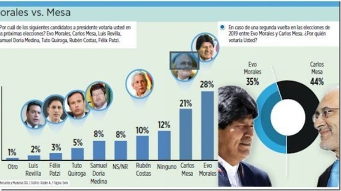 La primera vuelta es para Evo y la segunda, para Carlos Mesa (Encuesta)