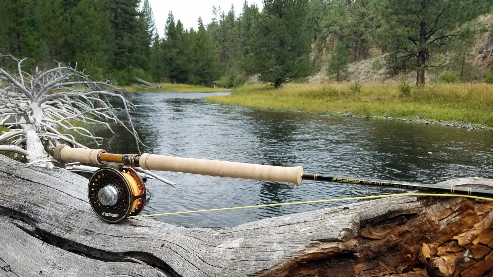 Gorge Fly Shop Blog: Trout Spey Reels