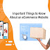 Important Things to Know About an eCommerce Website