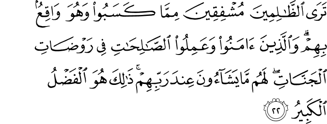 Surat Asy-Syura ayat 22