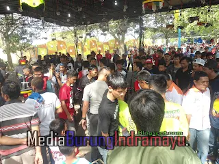SUPER CLASS!! Ribuan Kicau Mania Banjiri acara PIALA ARJUNA #2 Indramayu