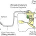 KOMPONEN SISTEM BAHAN BAKAR EFI SEPEDA MOTOR