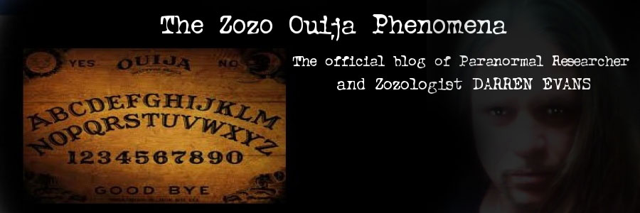 The Zozo Phenomena