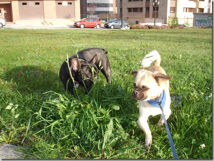 Acompañando a Pepa