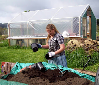 wood frame greenhouse plans