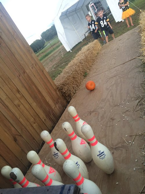 Pumpkin bowling for the little ones at Fiddle Dee Farms, Hendersonville, TN. 