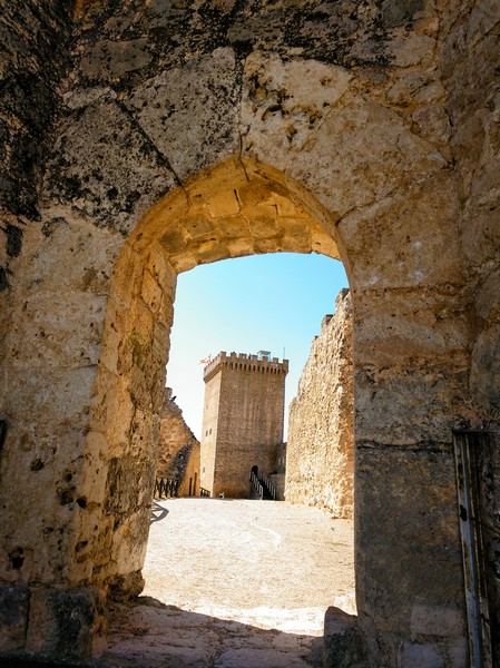 Puerta de acceso al Castillo de Peñaranda de Duero